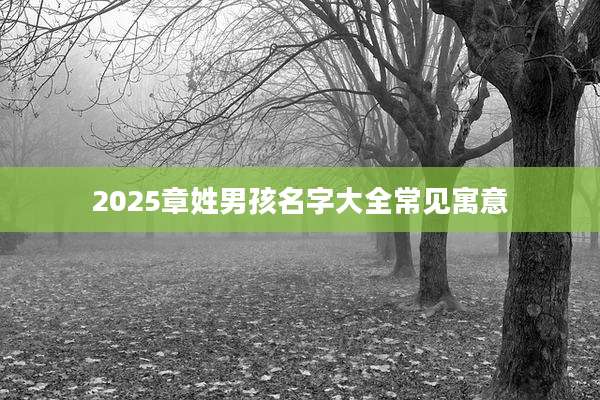 2025章姓男孩名字大全常见寓意