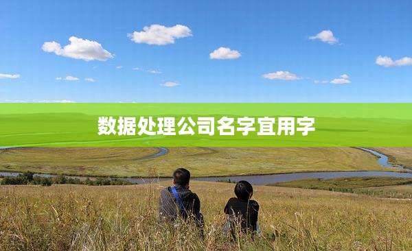 数据处理公司名字宜用字