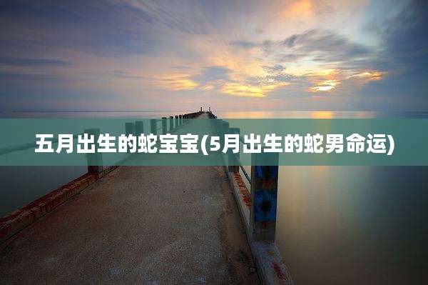 五月出生的蛇宝宝(5月出生的蛇男命运)