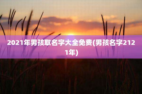 2021年男孩取名字大全免费(男孩名字2121年)