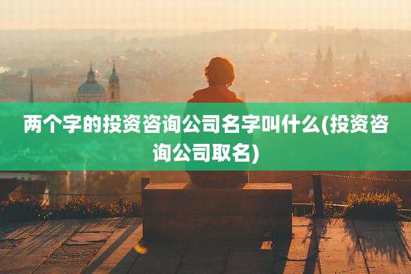 两个字的投资咨询公司名字叫什么(投资咨询公司取名)