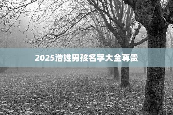 2025浩姓男孩名字大全尊贵