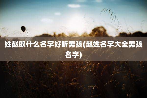 姓赵取什么名字好听男孩(赵姓名字大全男孩名字)