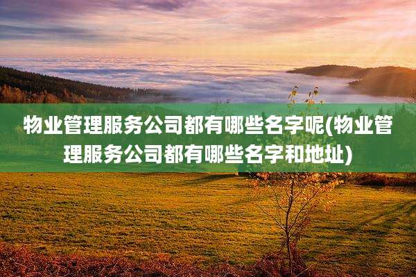 物业管理服务公司都有哪些名字呢(物业管理服务公司都有哪些名字和地址)