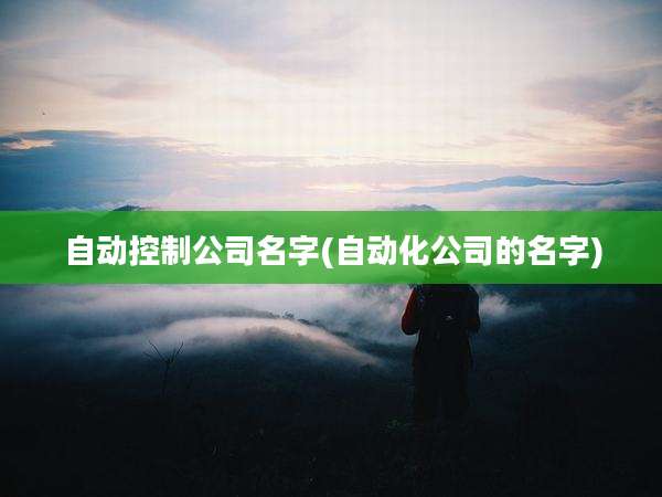 自动控制公司名字(自动化公司的名字)