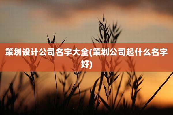 策划设计公司名字大全(策划公司起什么名字好)
