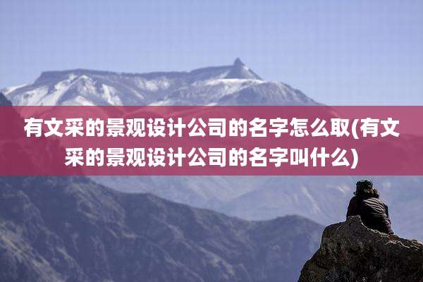 有文采的景观设计公司的名字怎么取(有文采的景观设计公司的名字叫什么)