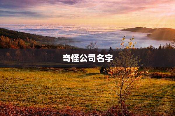 奇怪公司名字