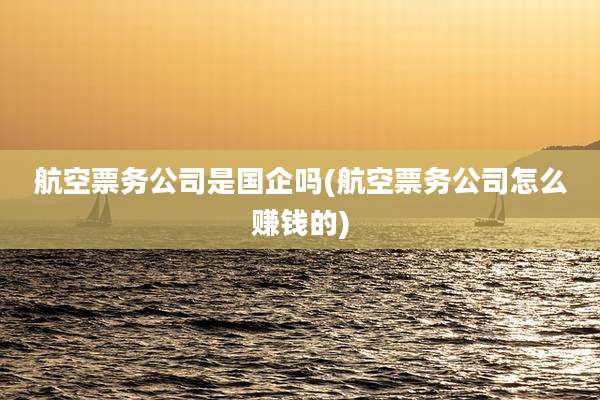 航空票务公司是国企吗(航空票务公司怎么赚钱的)