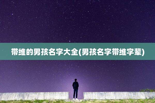 带维的男孩名字大全(男孩名字带维字辈)