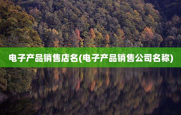 电子产品销售店名(电子产品销售公司名称)
