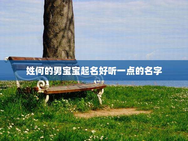 姓何的男宝宝起名好听一点的名字