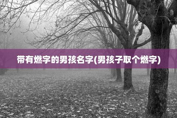 带有燃字的男孩名字(男孩子取个燃字)