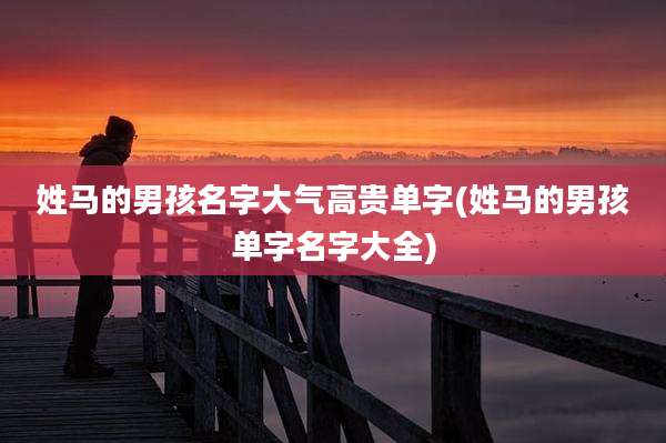 姓马的男孩名字大气高贵单字(姓马的男孩单字名字大全)