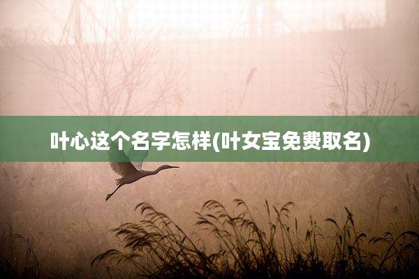叶心这个名字怎样(叶女宝免费取名)