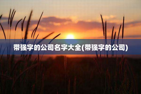带强字的公司名字大全(带强字的公司)
