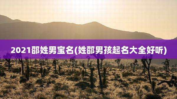 2021邵姓男宝名(姓邵男孩起名大全好听)