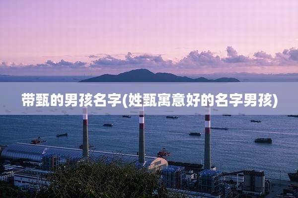 带甄的男孩名字(姓甄寓意好的名字男孩)