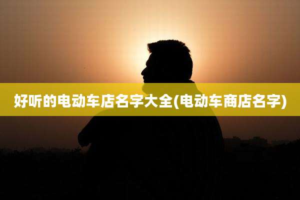 好听的电动车店名字大全(电动车商店名字)
