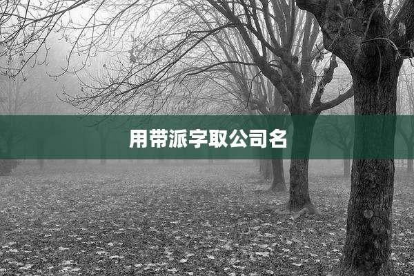 用带派字取公司名