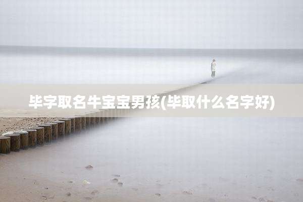 毕字取名牛宝宝男孩(毕取什么名字好)