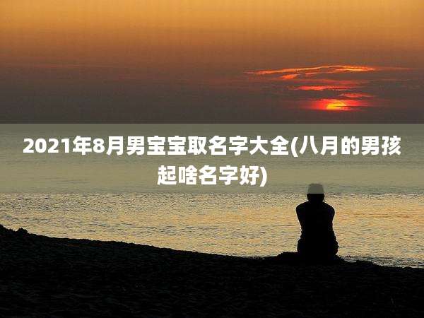 2021年8月男宝宝取名字大全(八月的男孩起啥名字好)