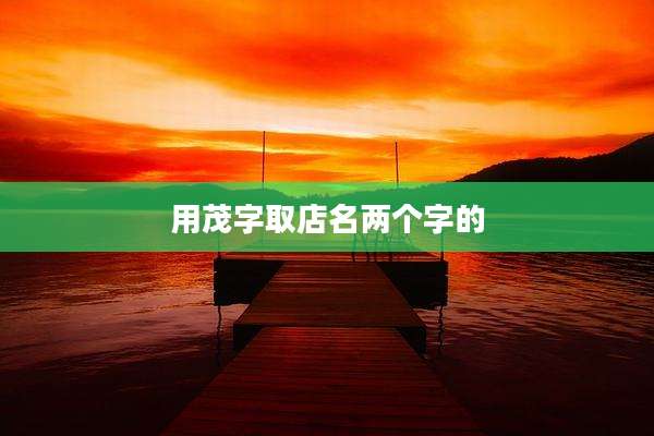用茂字取店名两个字的