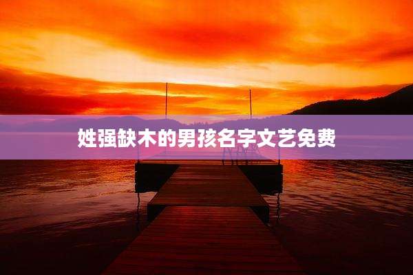 姓强缺木的男孩名字文艺免费