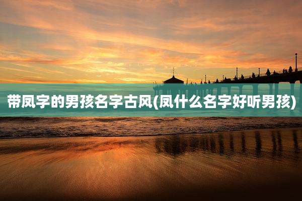 带凤字的男孩名字古风(凤什么名字好听男孩)