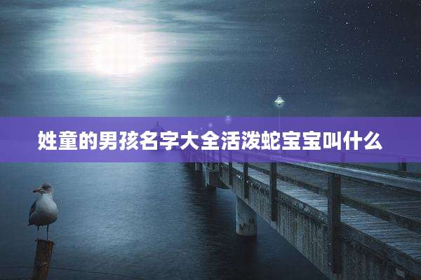 姓童的男孩名字大全活泼蛇宝宝叫什么