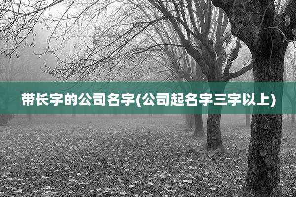 带长字的公司名字(公司起名字三字以上)