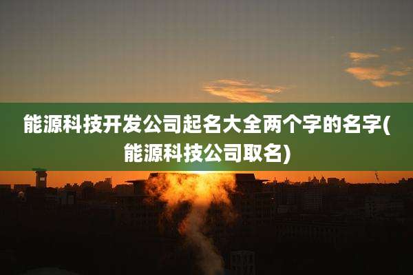 能源科技开发公司起名大全两个字的名字(能源科技公司取名)