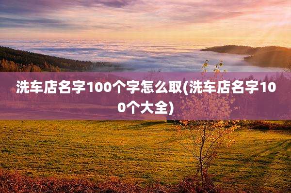 洗车店名字100个字怎么取(洗车店名字100个大全)