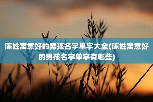 陈姓寓意好的男孩名字单字大全(陈姓寓意好的男孩名字单字有哪些)