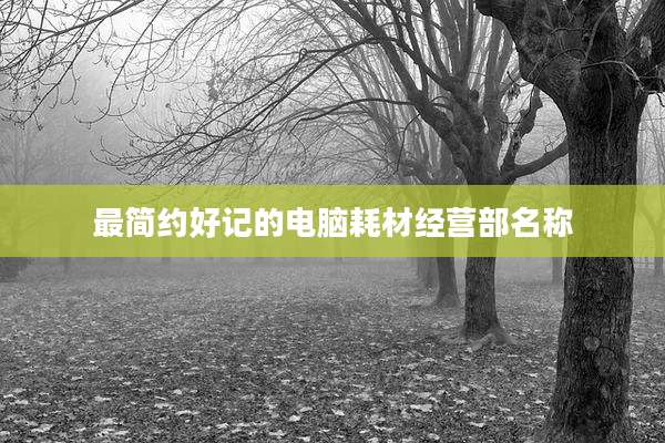 最简约好记的电脑耗材经营部名称