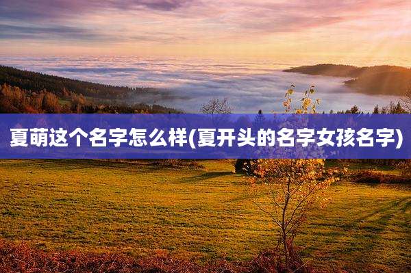 夏萌这个名字怎么样(夏开头的名字女孩名字)