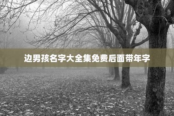边男孩名字大全集免费后面带年字