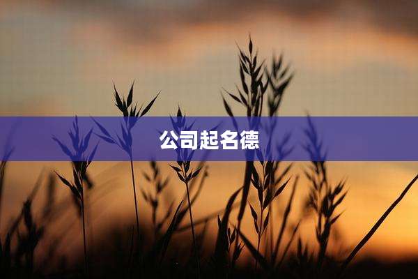 公司起名德