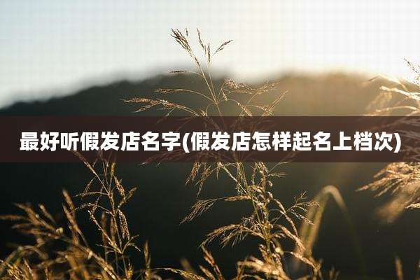 最好听假发店名字(假发店怎样起名上档次)