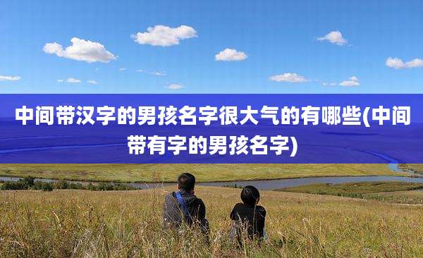 中间带汉字的男孩名字很大气的有哪些(中间带有字的男孩名字)