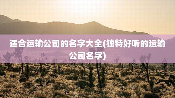 适合运输公司的名字大全(独特好听的运输公司名字)