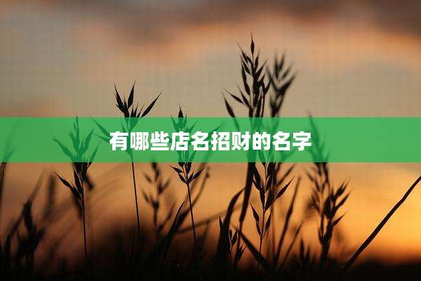 有哪些店名招财的名字