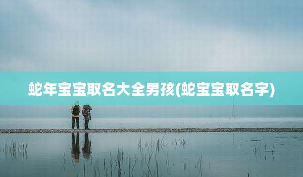 蛇年宝宝取名大全男孩(蛇宝宝取名字)