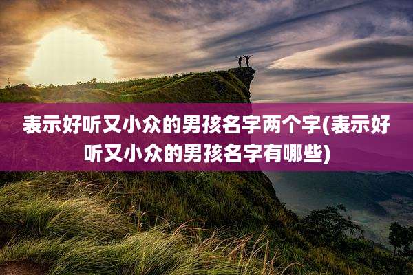 表示好听又小众的男孩名字两个字(表示好听又小众的男孩名字有哪些)