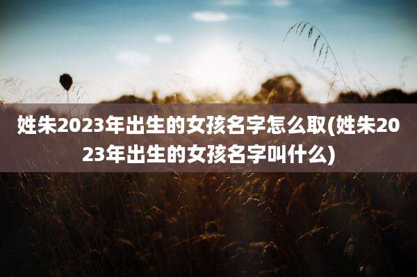 姓朱2023年出生的女孩名字怎么取(姓朱2023年出生的女孩名字叫什么)