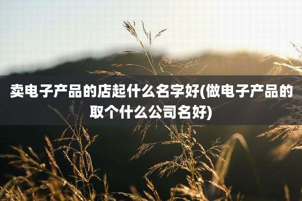 卖电子产品的店起什么名字好(做电子产品的取个什么公司名好)