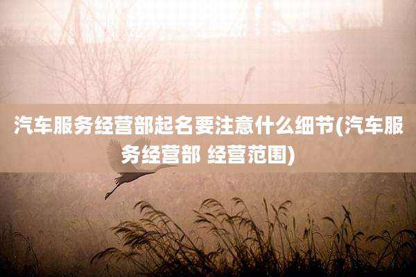 汽车服务经营部起名要注意什么细节(汽车服务经营部 经营范围)