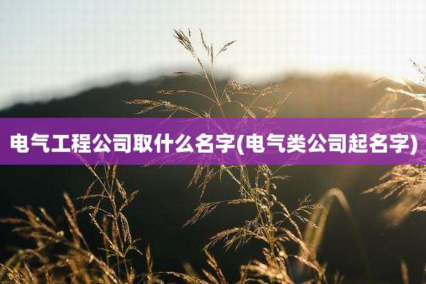 电气工程公司取什么名字(电气类公司起名字)