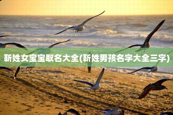 靳姓女宝宝取名大全(靳姓男孩名字大全三字)