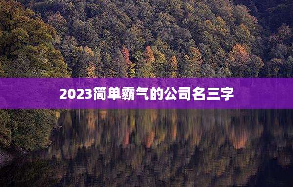 2023简单霸气的公司名三字